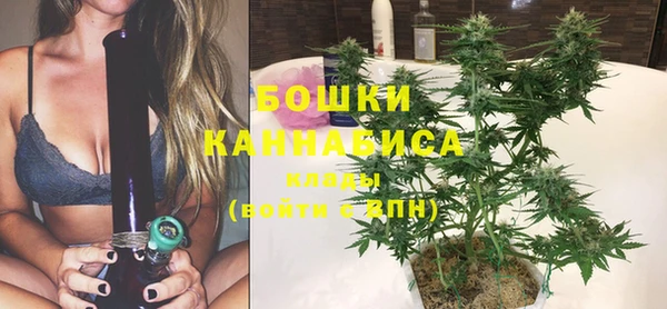 мдпв Лабытнанги